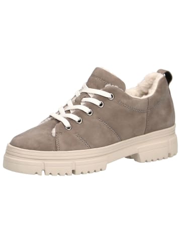 Caprice Sneaker in MUD NUBUC