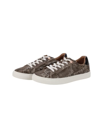 JOOP! Sneaker 'Serpente Misto Coralie in Greige'