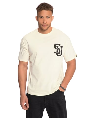 STHUGE Kurzarm T-Shirt in taupe