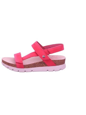 PANAMA JACK Sandale in pink
