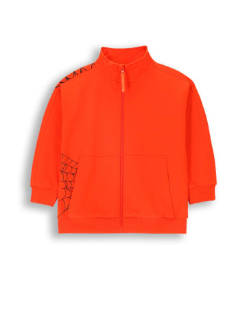 Coccodrillo Sweatshirt mit Reißverschluss in rot