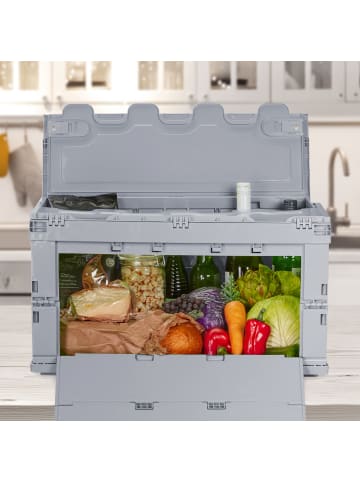 Transportbox in Grau - (B)58,5 x (H)32,5 x (T)39,5 cm