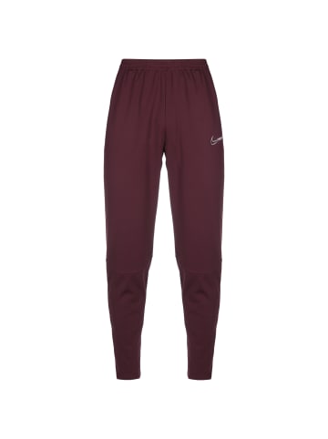 Nike Performance Trainingshose Winter Warrior Therma-FIT Academy in bordeaux / silber