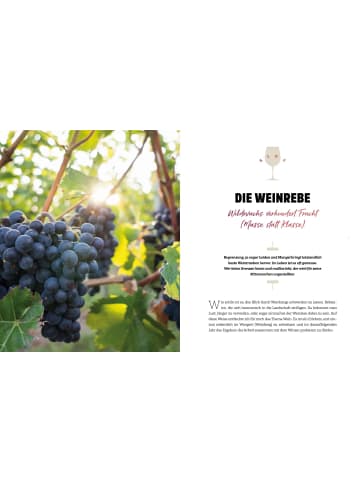 SCM Hänssler Wein | Ein Geschenk Gottes
