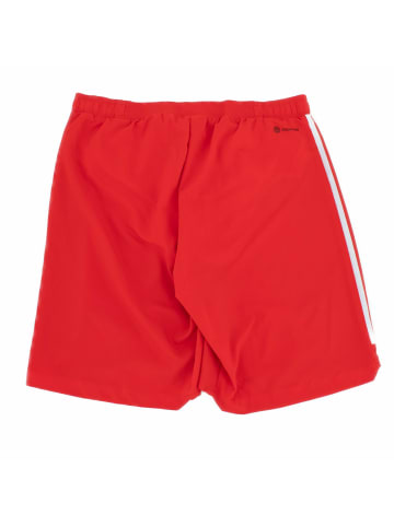 adidas Shorts FCB FC Bayern München Authentic Player Edition in Rot