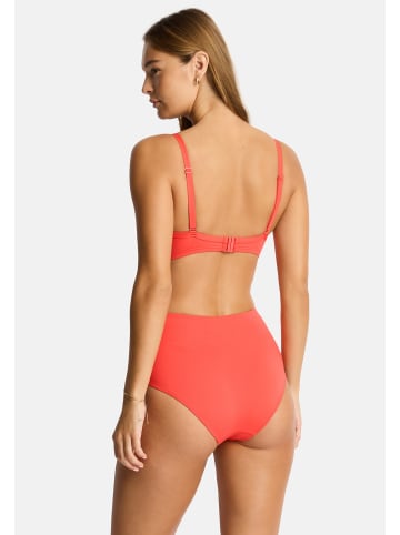 Sea Level Gathered Side High Waist Pant in orange