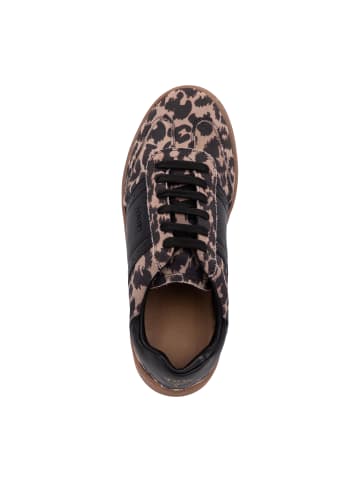 JOOP! Sneaker 'Sicilia Lista Isa in Dunkelbraun'