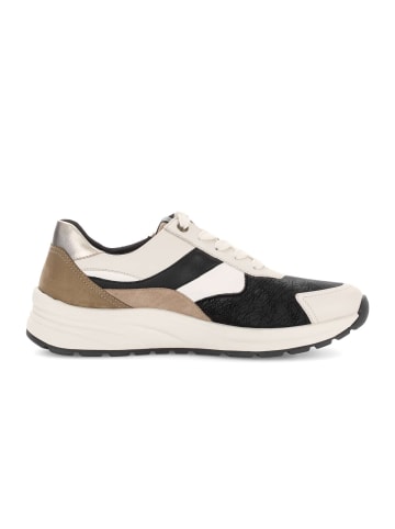 Gabor Sneaker low in multicolour