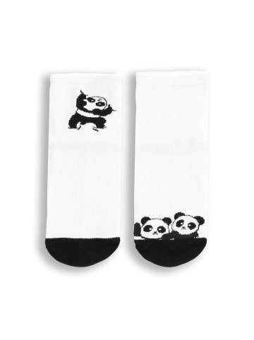 Coccodrillo Socken in bunt