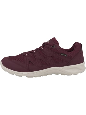 Ecco Sneaker low Terracruise LT in rot