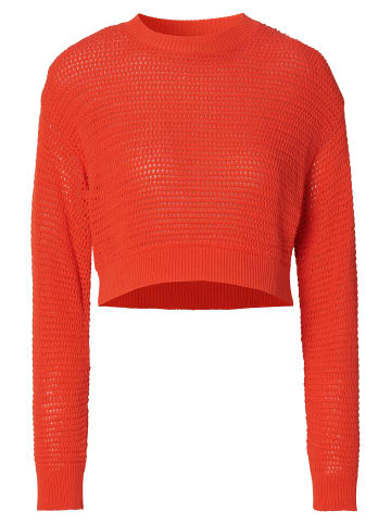 Noppies Pullover Pablo in Tangerine Tango