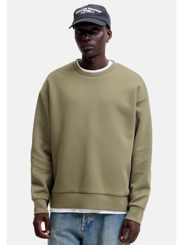 Jack & Jones Sweatshirt Barron in Grün