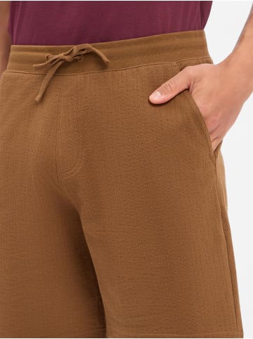 s.Oliver Shorts Detroit / The Jogger in braun - 0002