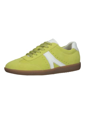 BRAX  Sneaker in Lime