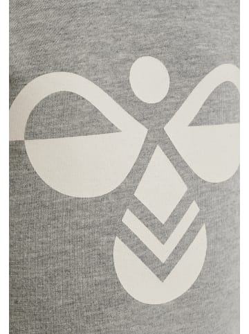 Hummel Hummel T-Shirt Hmlflipper Kinder in GREY MELANGE