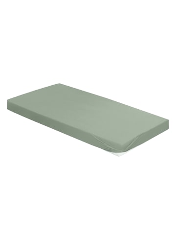 Irisette Spannbetttuch Lyocell-Stretch Erba in salbei