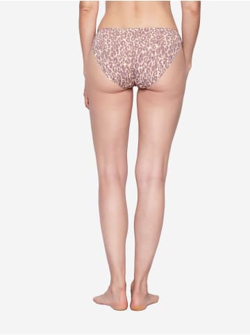 JOOP! Slip Sensation in Brownie