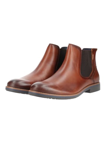 Pikolinos Stiefelette LEON M4V in Braun