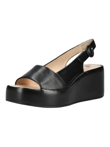 Högl Sandalen in Schwarz/Schwarz