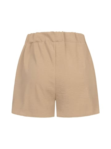 Cloud5ive Cloud5ive Shorts in camel