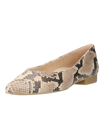 Ballerinas Beige