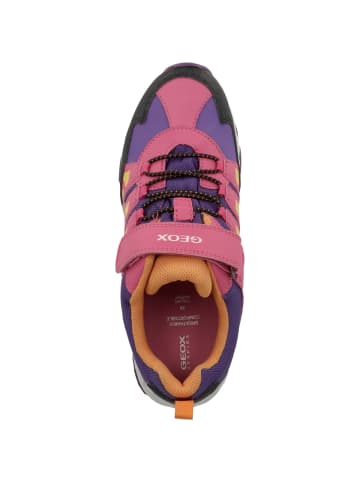 Geox Sneaker low J Magnetar G.B Abx A in multicolor