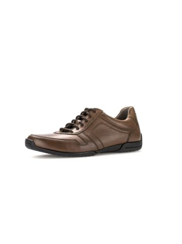 Pius Gabor Sneaker low in braun