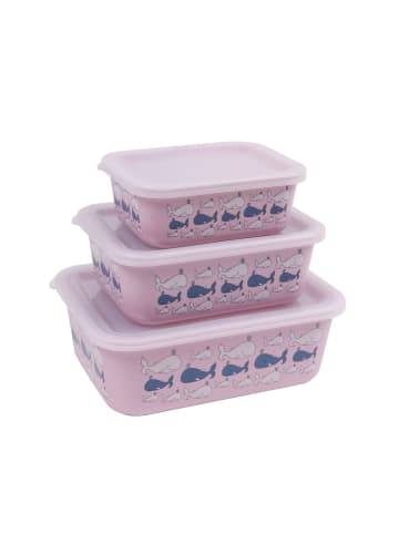 AWAVE Aufbewahrungsdosen-Set aus rPET, 3-tlg., rosé in Rosé