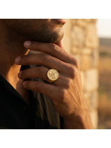 Steel_Art Siegelring Herren Rurik goldfarben in goldfarben