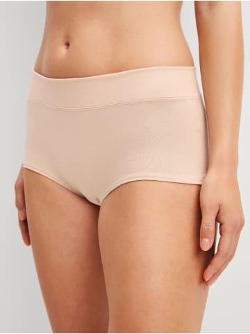 Calida Panty in rose teint