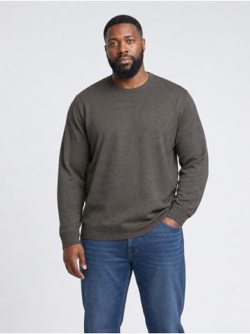 Petrol Industries Feinstrickpullover mit Rundhalsausschnitt ironbend in Grün