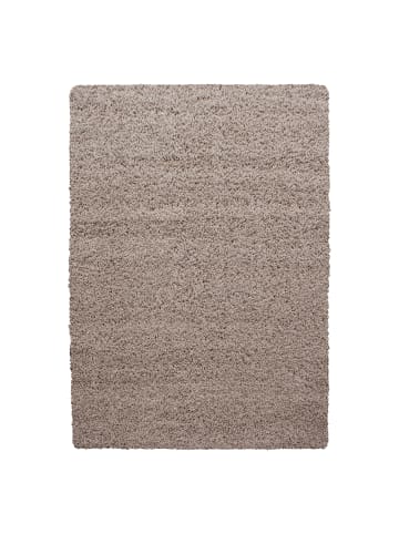 KADIMA DESIGN Teppich Hochflor Unifarben Polypropylen Wohnzimmer Shaggy in Beige