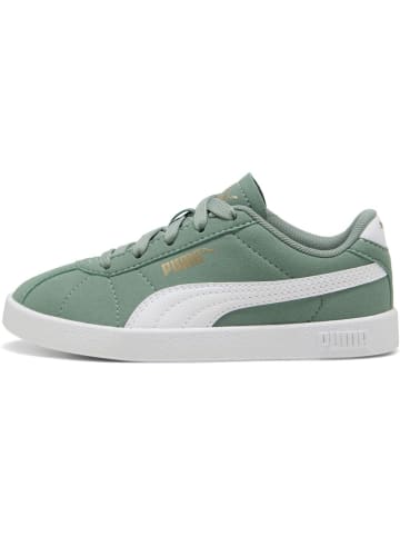 Puma Sneaker "Club II PS" in Grün