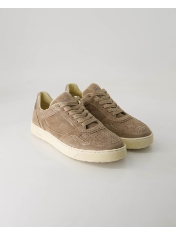 Sioux Klassische Schnürschuhe in Beige