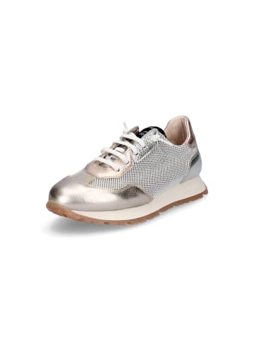 Hispanitas Sneaker in Multi Metallic