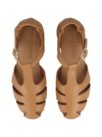 Candice Cooper Sandale DANDY T-BAR in braun