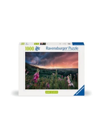 Ravensburger Puzzle Ein Sturm zieht auf 1000 Teile, ab 14 Jahre