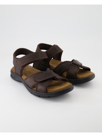 PANAMA JACK Sandalen & Pantoletten in Braun