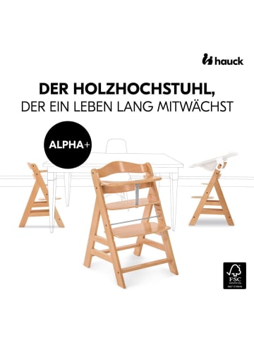 Hauck Alpha Plus 4-tlg. Newborn Set in braun