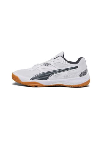 Puma Hallenschuhe Solarflash II in Grau