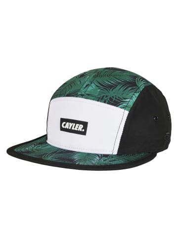  Cayler & Sons Dad Cap in black/mc