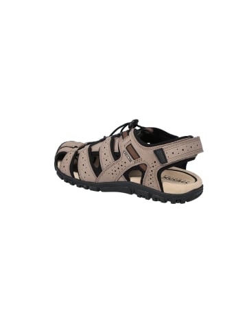 Geox Outdoorsandalen in taupe/black