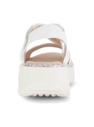 Gabor Plateau Sandaletten in Beige