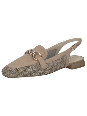 Caprice Ballerina in BARK COMB