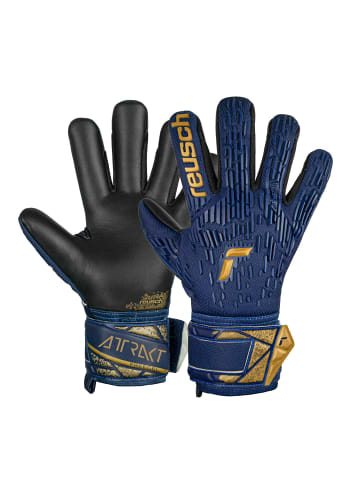 Reusch Torwarthandschuh Attrakt Freegel Silver Junior in 4411 premium blue/gold/black