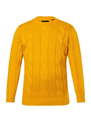 Boston Park Pullover in curry