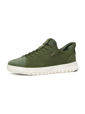 Geox Sportliche Schnürschuhe in Oliv