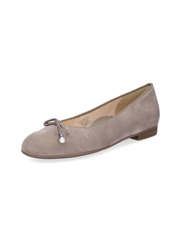 ara Ballerina in taupe Samt