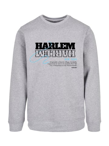 F4NT4STIC Sweatshirt Harlem CREW in grau meliert