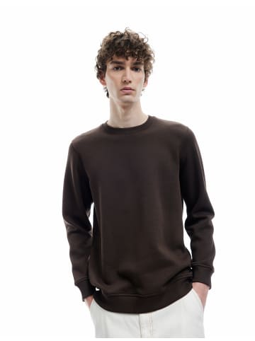 KOTON SWEATSHIRTS in Braun